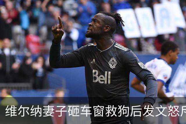 维尔纳妻子砸车窗救狗后发文怒斥主人：30度的天怎能把狗关车上？